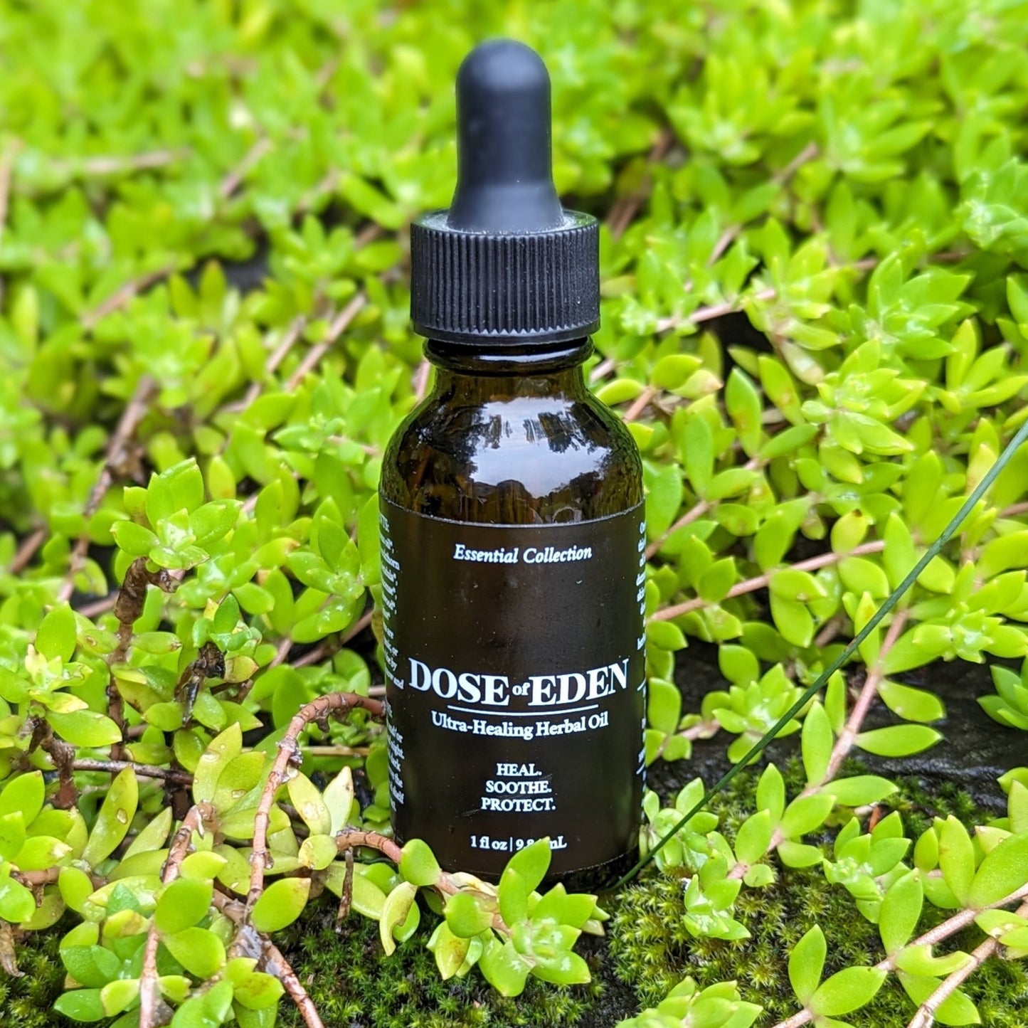 Ultra Healing Herbal Oil